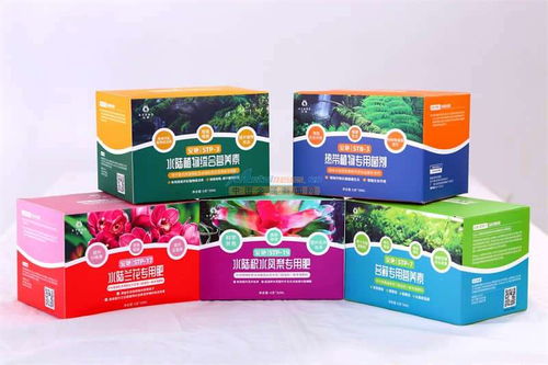 圣地光合作用 安艷科技,為雨林植物注入生命能量